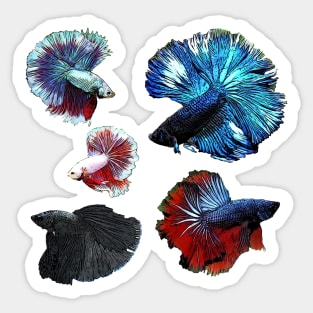 Five Betta Fish Sticker